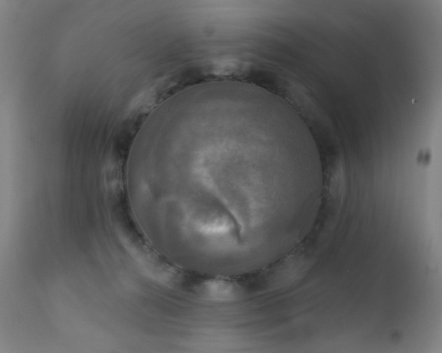 X0000111220272200907021342