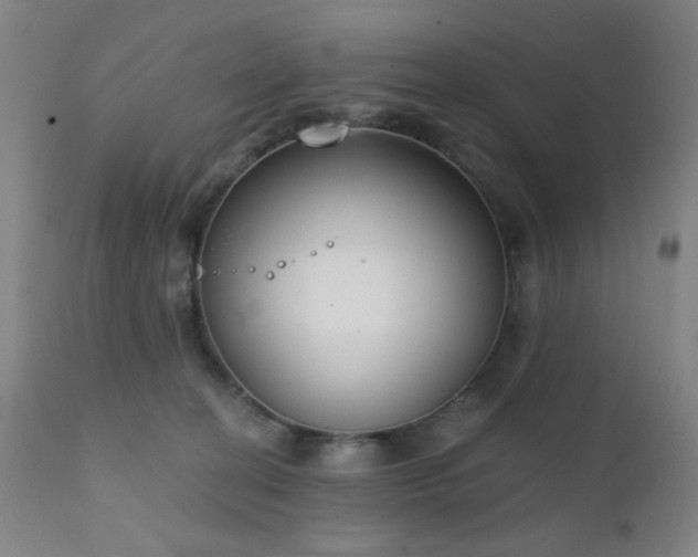 X0000111220274200907021342