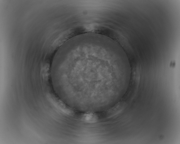X0000111220275200907021342