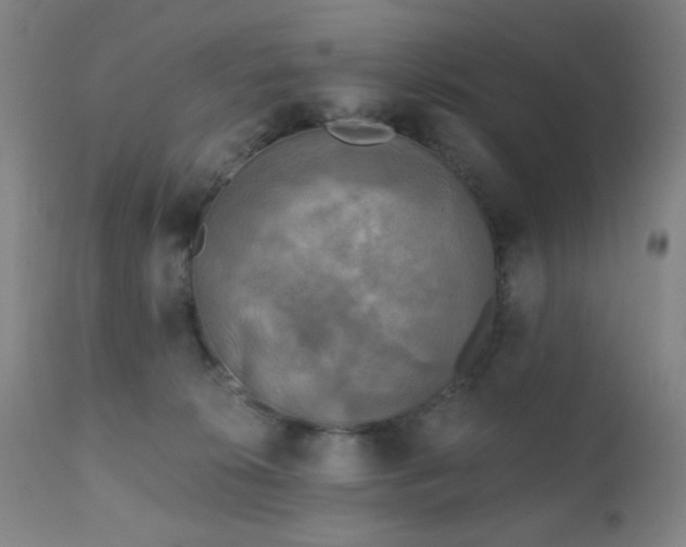 X0000111220276200907021342