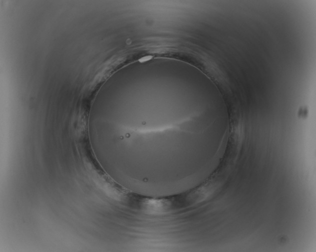 X0000111220277200907021342
