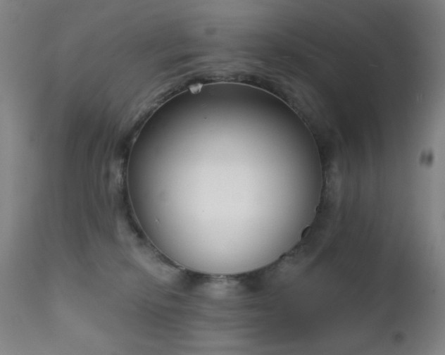 X0000111220278200907021342
