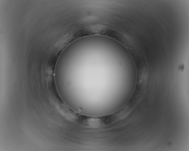 X0000111220279200907021342