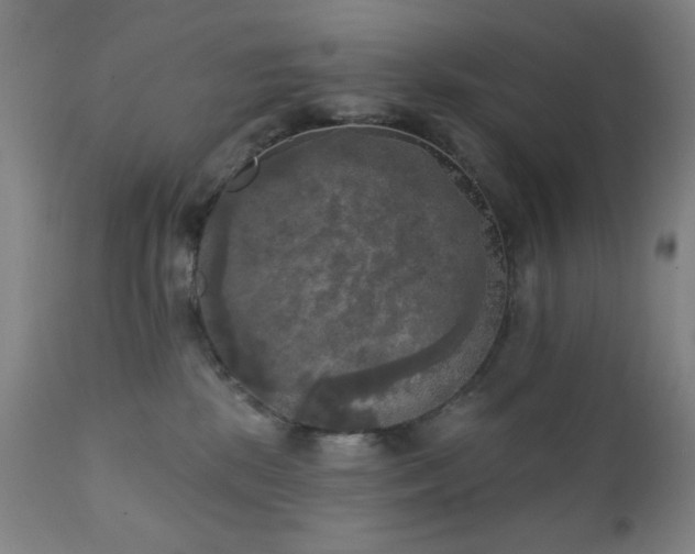 X0000111220281200907021342
