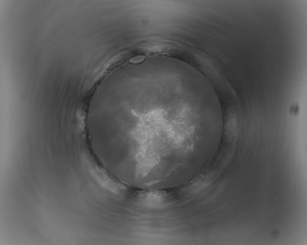X0000111220282200907021342
