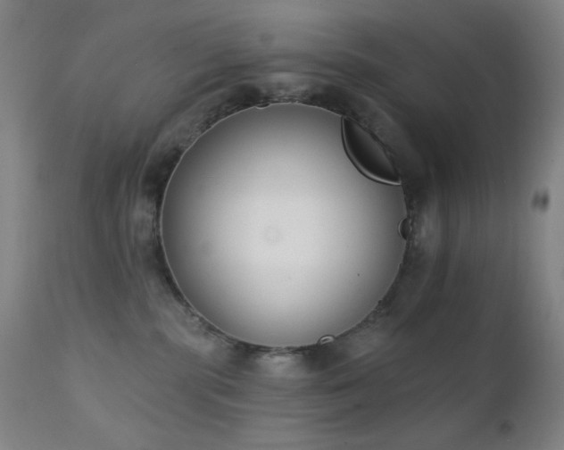 X0000111220283200907021342