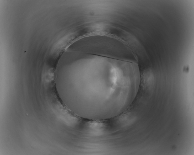X0000111220284200907021342