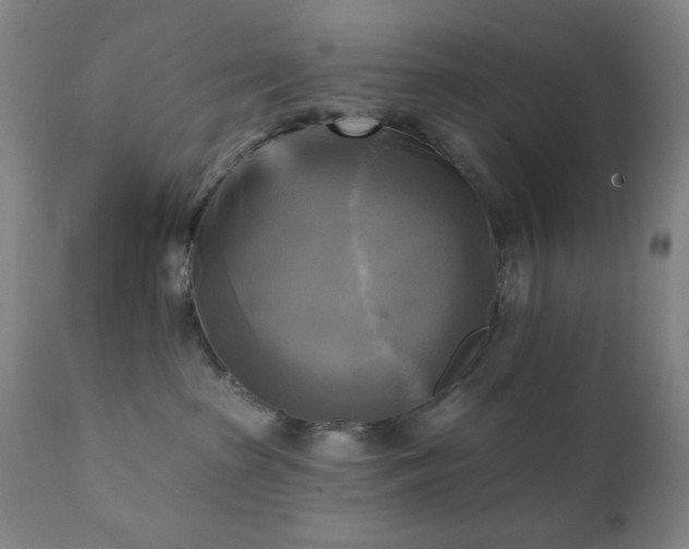 X0000111220285200907021343