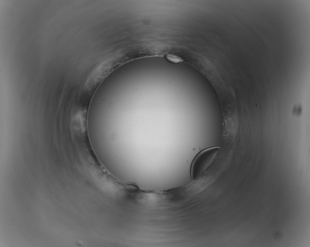 X0000111220286200907021343