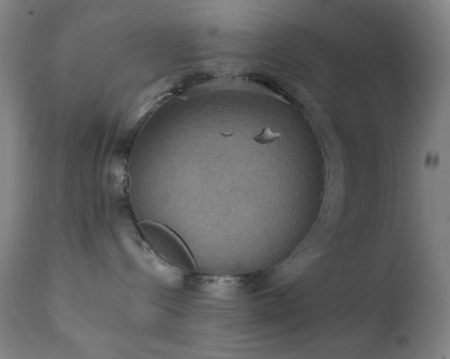 X0000111220288200907021343