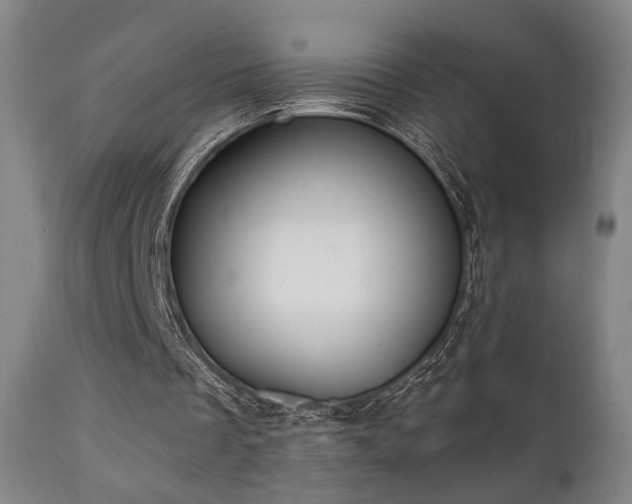 X0000111220289200907021342
