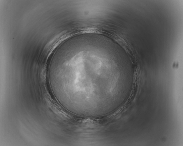 X0000111220290200907021342