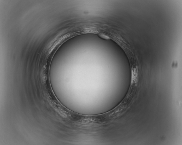X0000111220291200907021342
