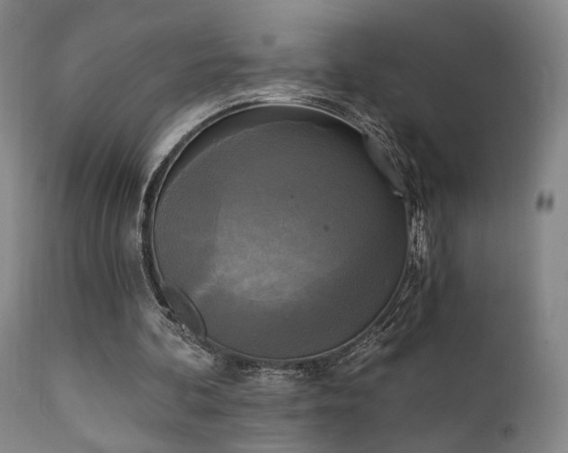 X0000111220292200907021341