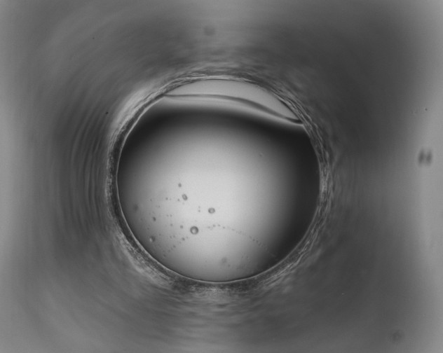 X0000111220293200907021341