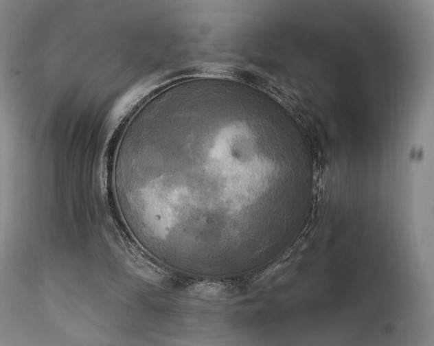 X0000111220294200907021341