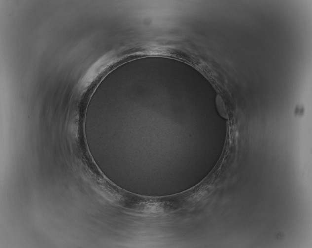 X0000111220295200907021341