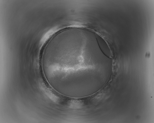 X0000111220296200907021341