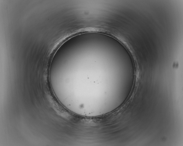 X0000111220297200907021341