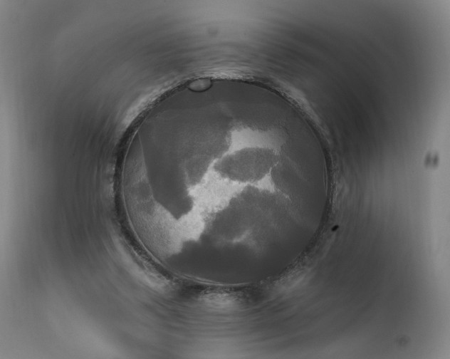 X0000111220299200907021341