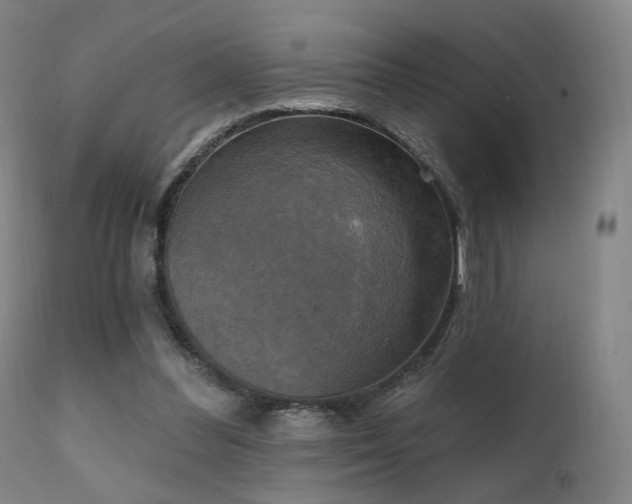 X0000111220300200907021341