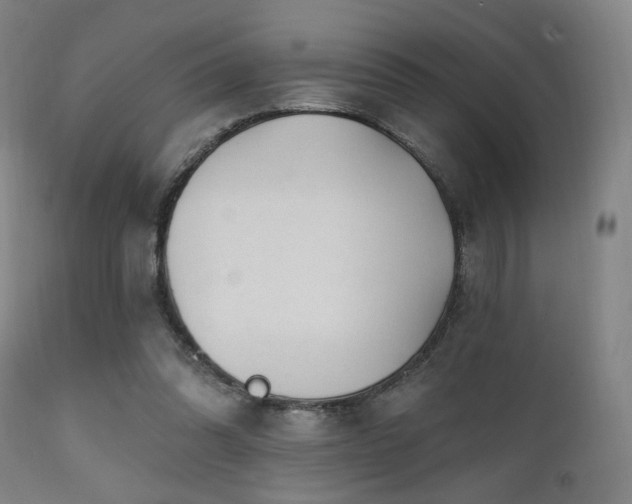 X0000111220302200907021341