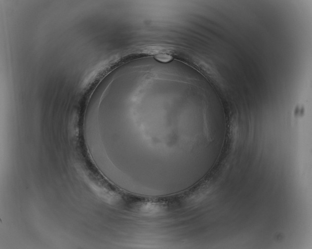 X0000111220303200907021341