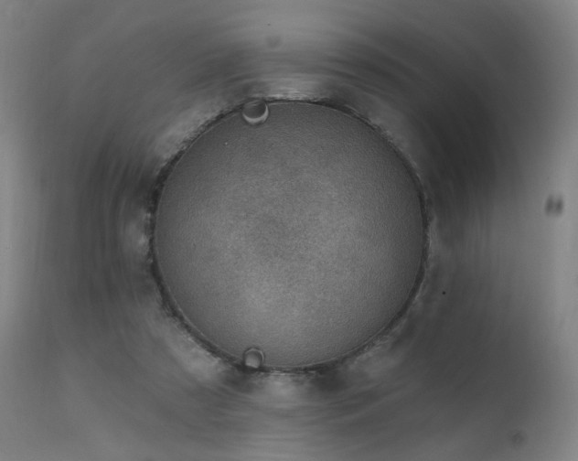 X0000111220305200907021341
