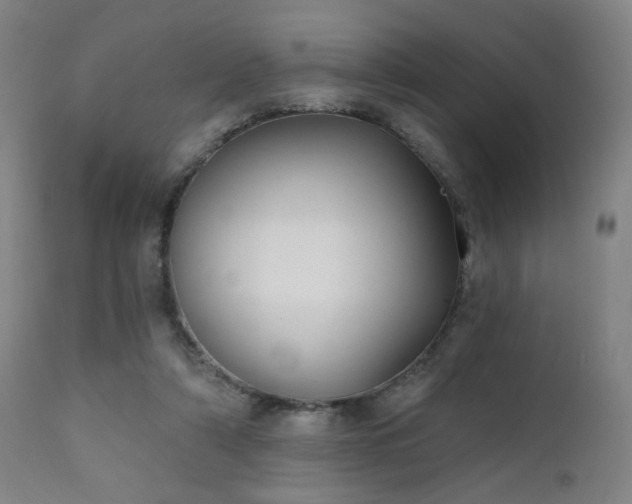 X0000111220306200907021341