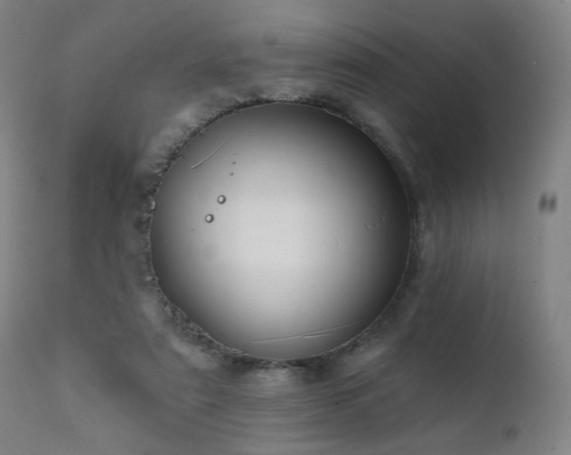 X0000111220307200907021341