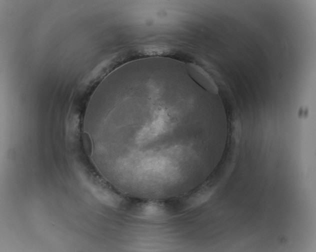 X0000111220308200907021341