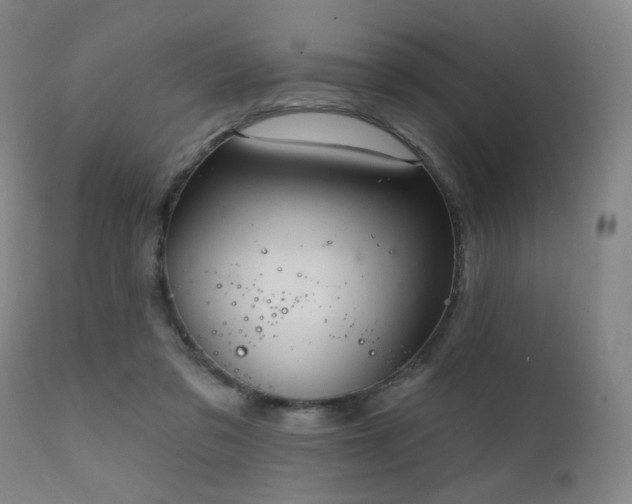 X0000111220309200907021341