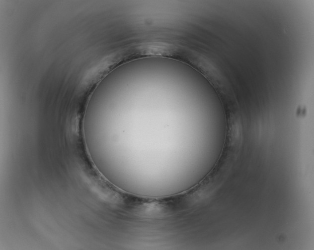 X0000111220310200907021341