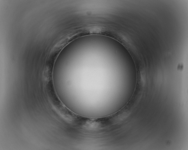 X0000111220311200907021341