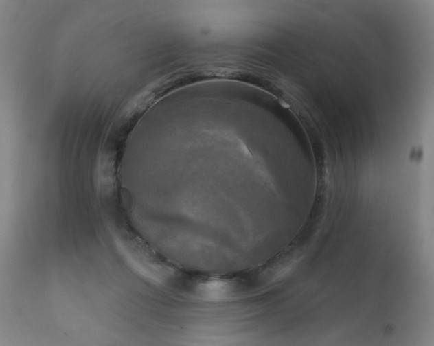 X0000111220312200907021341