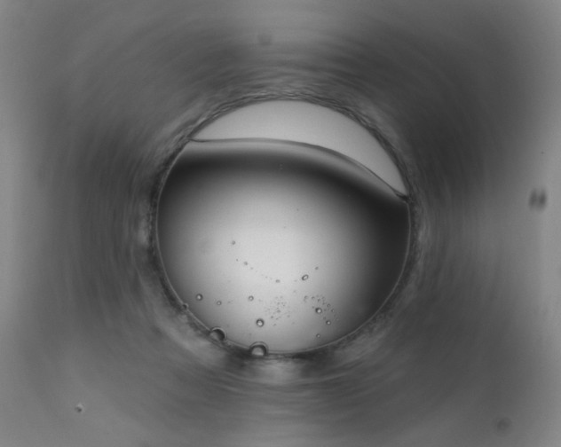 X0000111220313200907021341