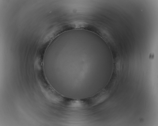 X0000111220316200907021341