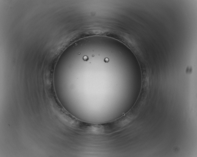 X0000111220317200907021341