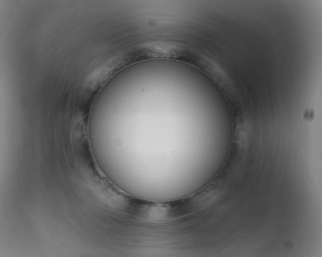 X0000111220318200907021341