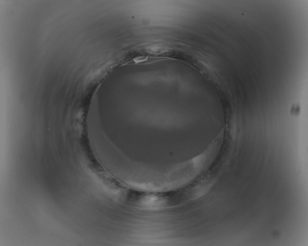 X0000111220319200907021341