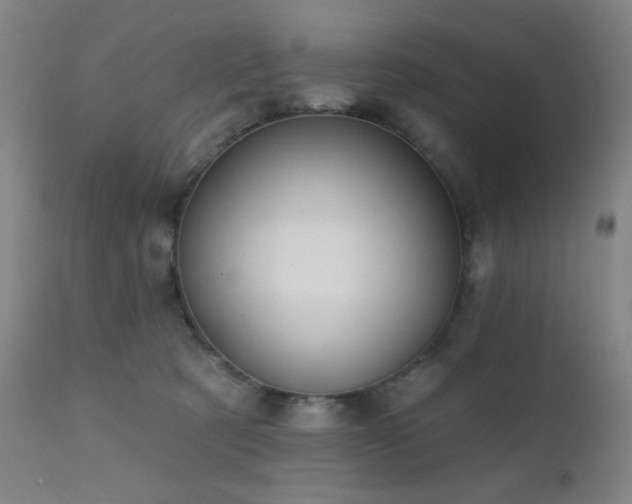 X0000111220321200907021341