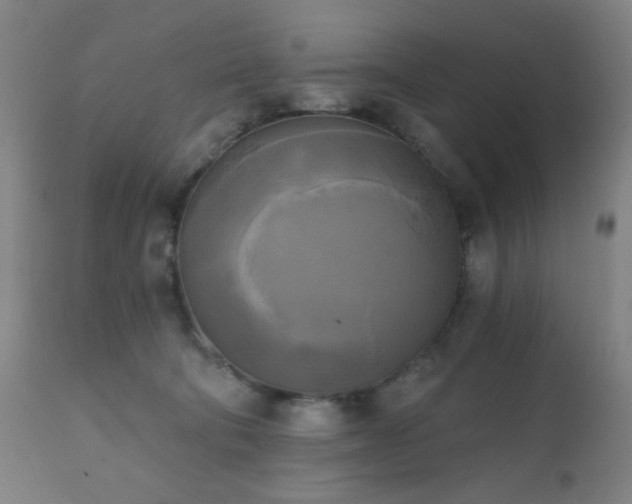 X0000111220322200907021341