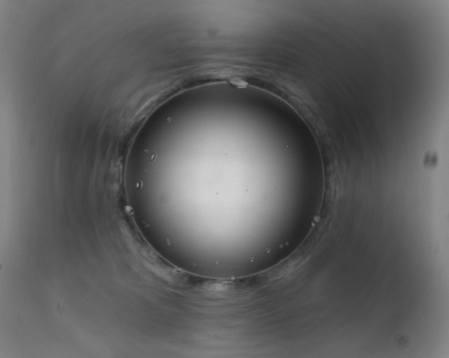 X0000111220325200907021341