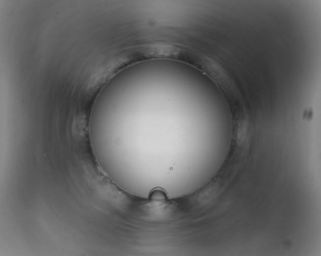X0000111220326200907021341