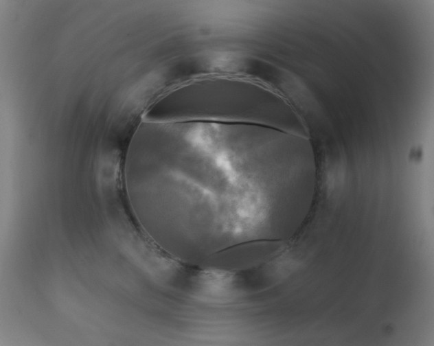 X0000111220328200907021341