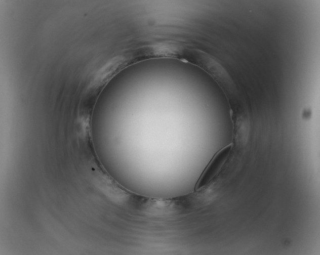 X0000111220329200907021341