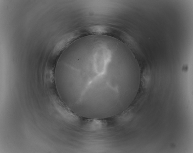 X0000111220330200907021341