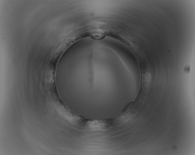 X0000111220331200907021341