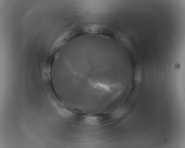 X0000111220332200907021341