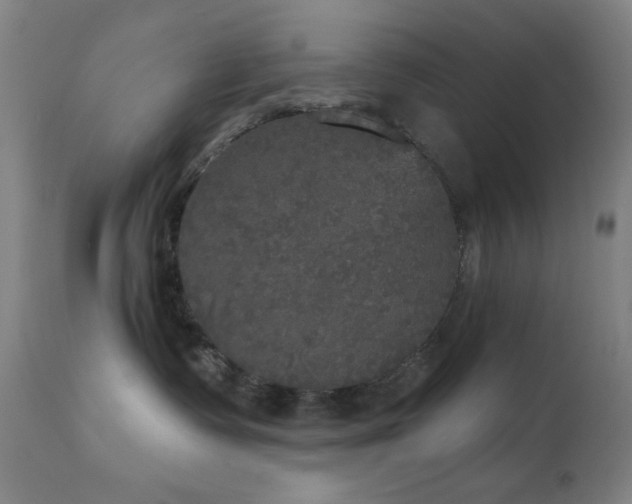 X0000111220335200907021341